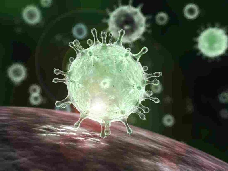 Coronavirus_800_width