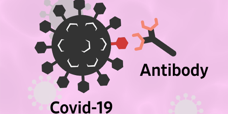Covid_Ab_width_800