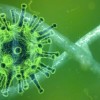 coronavirus_RNA_width_800